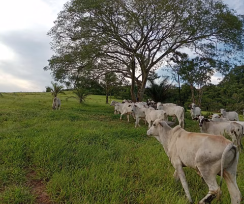 Fazenda de 50 alqueires a 2 km de São sebastião de Paraiso