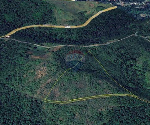 Terreno de 20.000 m² em Juiz de Fora/MG – Natureza, Privacidade e Qualidade de Vida