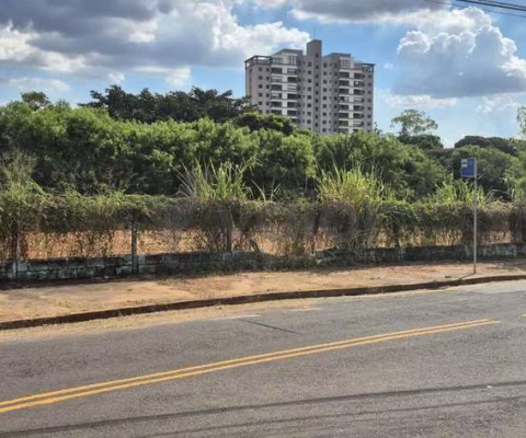 Terreno à venda na Rua Doutor João Alves dos Santos, 1041, Jardim das Paineiras, Campinas