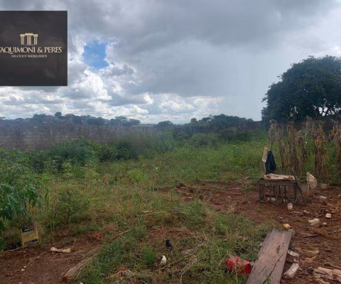 Lote de  446 metros, murado, aterrado e com portão!