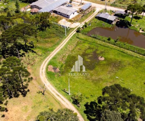 Chácara à venda, 46000 m² por R$ 1.450.000,00 - Contenda - São José dos Pinhais/PR