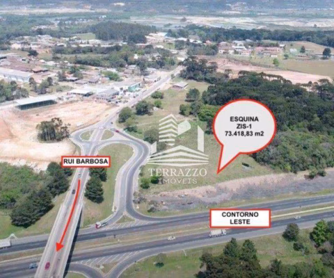 Área à venda, 73418 m² por R$ 20.924.300,00 - Colônia Rio Grande - São José dos Pinhais/PR