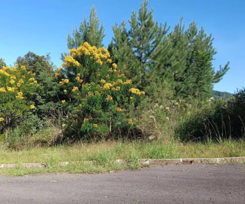 Terreno bairro Joaneta, Picada Café.RS