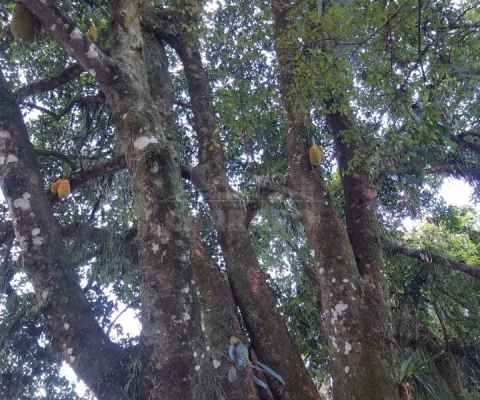 Ampla Propriedade Urbana em Paranaguá