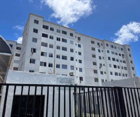 Apartamento 39,6m²