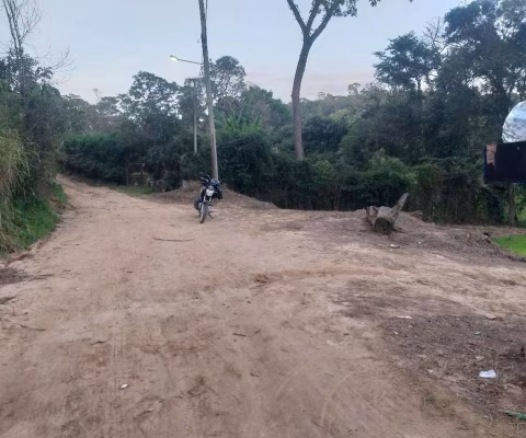 TERRENO COM NASCENTE