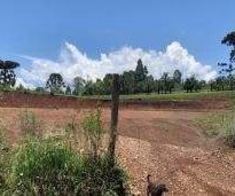 Terreno para Venda em Guarapuava, Morro Alto