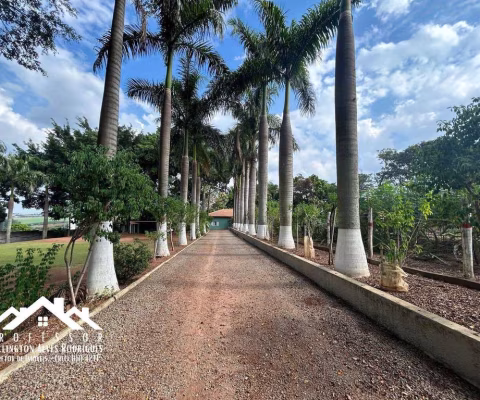 Chácara de 10.000m² no Bairro do Pinhal em Limeira-SP (V)