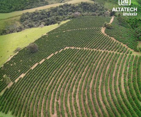 Fazenda Roseirinha - Bandeira do Sul, MG