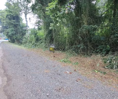 Terreno à venda na Br 470, 202, Zona Rural, Bento Gonçalves