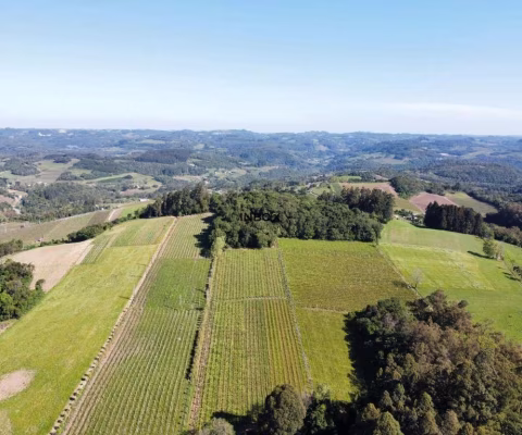 Terreno à venda na Interior, 113, Zona Rural, Bento Gonçalves