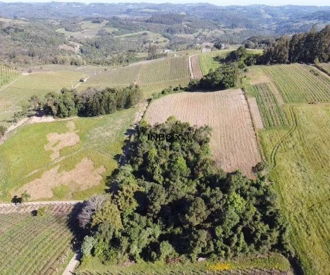 Terreno à venda na Interior, 112, Zona Rural, Bento Gonçalves