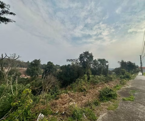 Terreno à venda na Rinaldo Cobalchini, 75, Santa Rita, Bento Gonçalves