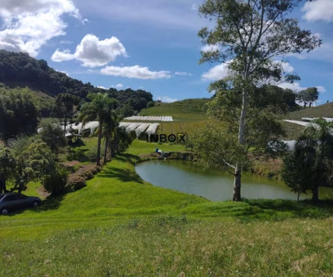 Terreno à venda na Caminhos de Pedra, 100, Barracão, Bento Gonçalves