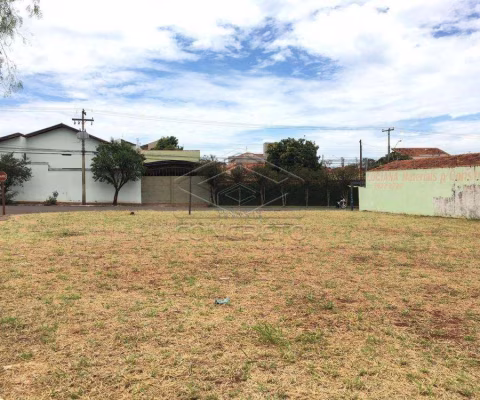 Terreno Padrão em Jaú