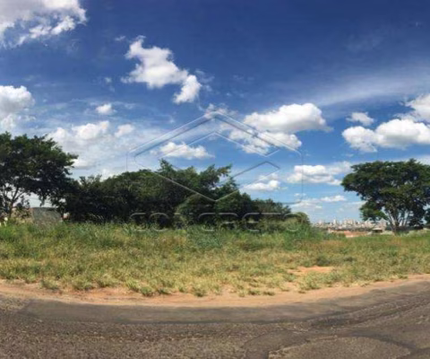Terreno Padrão em Bauru