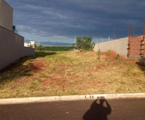 Excelente lote encaixado no Villa de Leon I