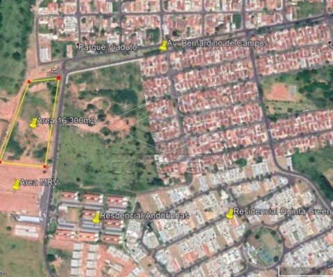 Terreno Padrão em Bauru