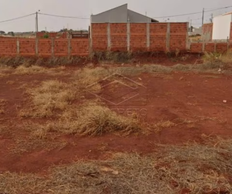 Terreno Padrão em Jaú