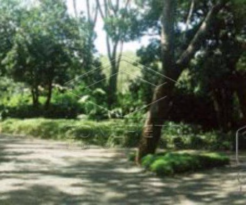 Terreno Padrão em Arealva