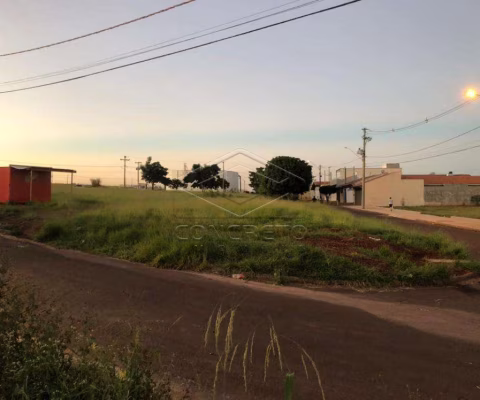 Terreno Padrão em Jaú