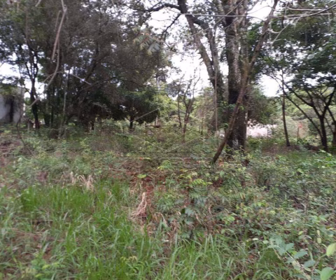 Terreno Padrão em Bauru