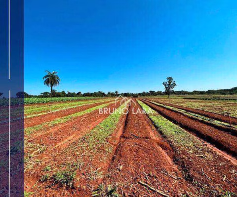 Área à venda, 550000 m² por R$ 15.000.000,00 - Rancho Três Lagoas - Igarapé/MG