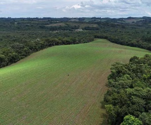 Rural à venda,242000.00 m , rio verde abaixo, ARAUCARIA - PR