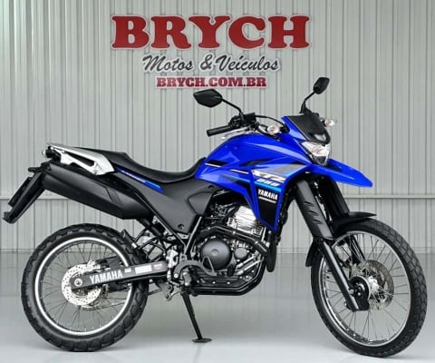 Yamaha XTZ 250 LANDER ABS - Azul - 2023/2023