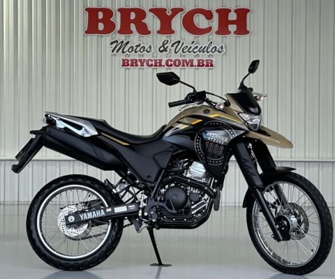 Yamaha XTZ 250 LANDER ABS - Bege - 2023/2023