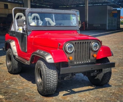 Ford Jeep 1980 Cj-5