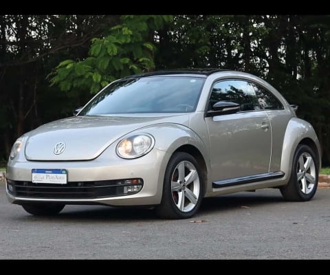 Volkswagen Fusca 2.0 TSI 16V Aut.  - Prata - 2014/2014