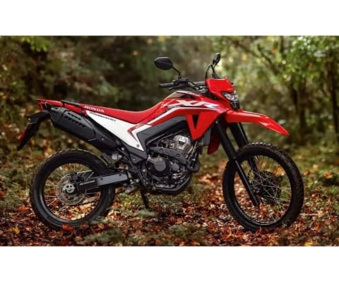 Honda Xr 300l tornado 2025