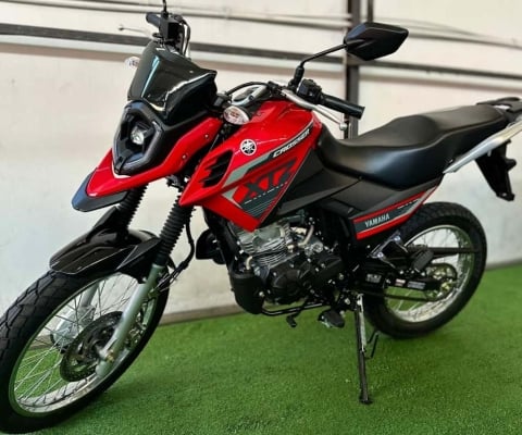 Yamaha Xtz 150 crosser s flex 2025