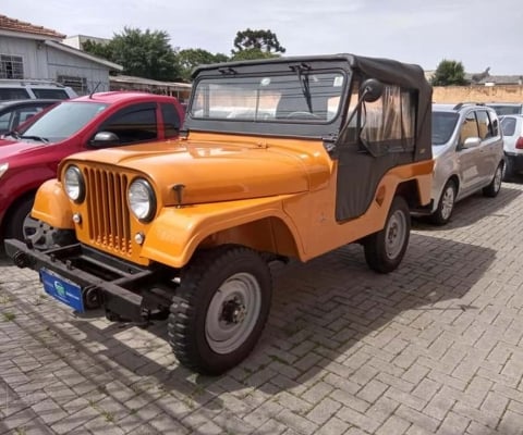 FORD JEEP 1981