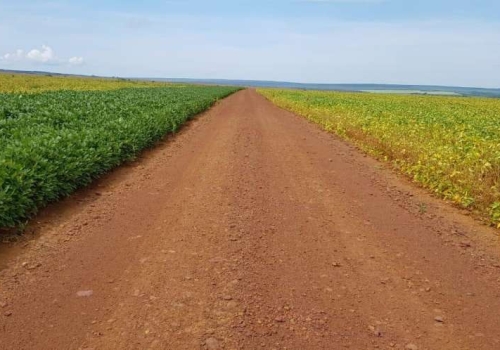 Fazenda Na Zona Rural, Campo Verde - MT - ID: 8909202 | Chaves Na Mão