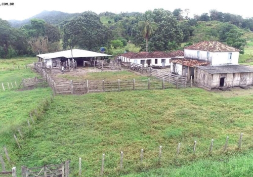 Fazendas à Venda Na Zona Rural Em Uruçuca Chaves Na Mão 2371