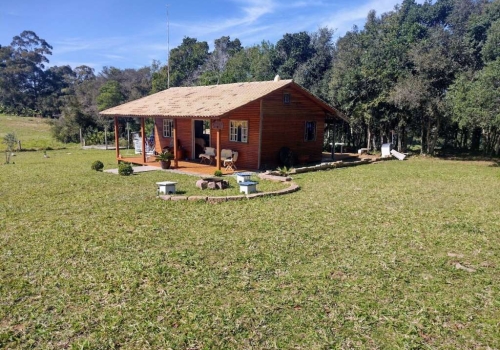 Plantação orgânica de morangos em sítio do bairro Lami - Caminhos