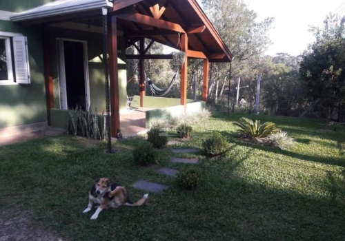 Foto de Vinícola Ravanello, Gramado: Patio externo - Tripadvisor