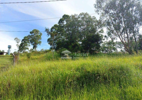 Terrenos Em Condomínio Fechado à Venda No Bairro Do Carmo Em São Roque ...