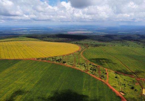 Fazenda para Venda - RA IV Brazlândia / DF no bairro Centro, 4 dormitórios,  sendo 2 suítes, 4 banheiros, área total 450.000,00 m², área construída  450.000,00 m², área útil 450.000,00 m², terreno 450.000,00 m²