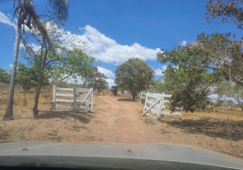 Imóveis à venda em Area Rural de Brazlandia, Brasília, DF - ZAP Imóveis