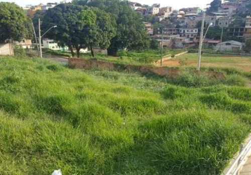 Imóveis com cozinha para alugar em Solar do Barreiro, Belo Horizonte, MG -  ZAP Imóveis