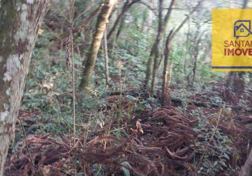 Terrenos à Venda Na Avenida João Albino De Andrade Em Campo Largo Chaves Na Mão 3749