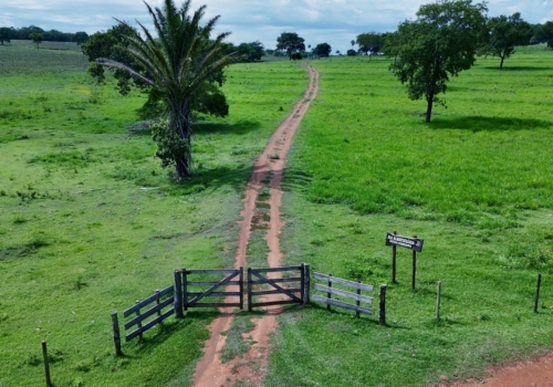 Fazendas Direto Com O Proprietário Na Zona Rural Em Terenos Chaves Na Mão 8413