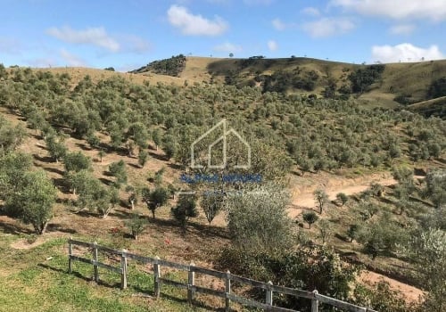 Chácaras No Jardim Novo Horizonte Em Lorena Chaves Na Mão 5011