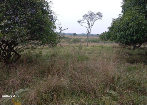 Oportunidade única: terreno de 1000 metros quadrados no coração de manilha, bairro granjas cabuçu