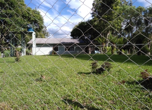 foto - São José dos Pinhais - Cotia