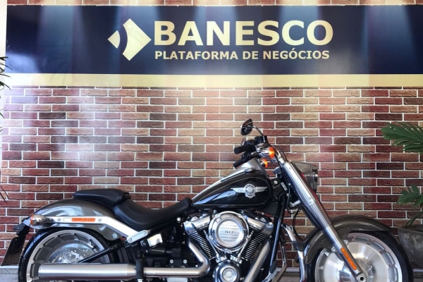 2019 harley best sale fatboy