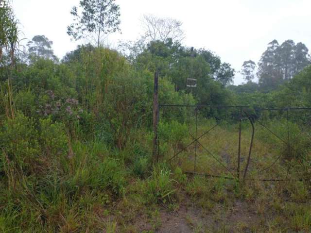 Área rural - São Pedro do Maratá - Maratá